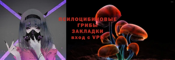 сатива Надым