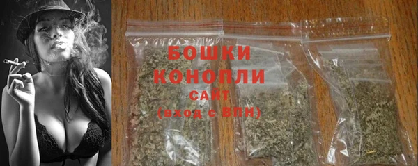 сатива Надым