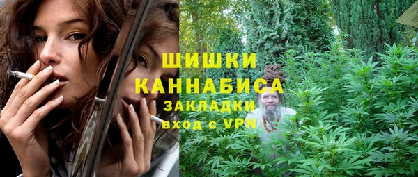 сатива Надым