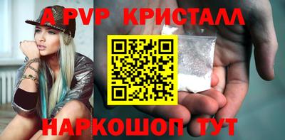 apvp Кингисепп