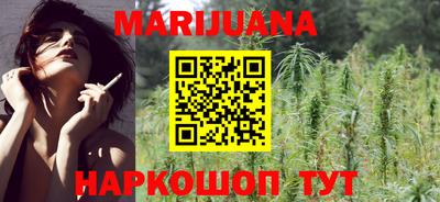 apvp Кингисепп