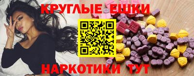 apvp Кингисепп