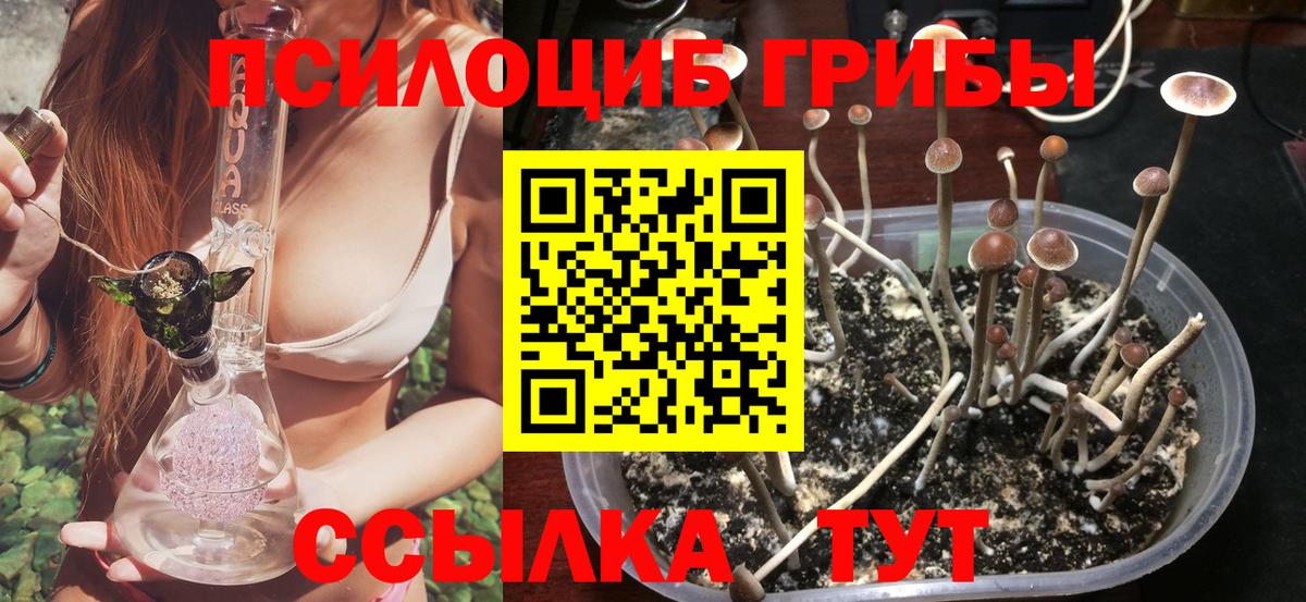 Псилоцибиновые грибы Magic Shrooms  Вход с VPN  Комсомольск-на-Амуре 